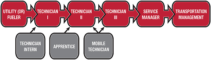 Career Path